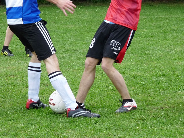 纵观整个 纵观整个