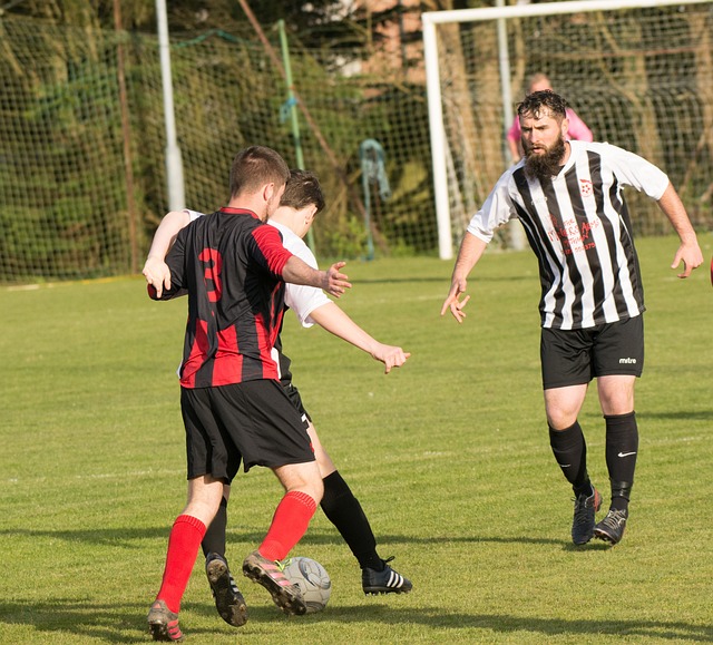 这并非全然 这并非全然