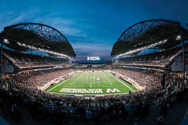 乒联赛事中 乒联赛事中